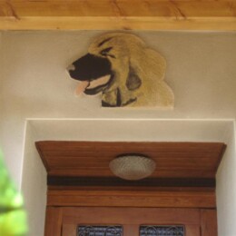 Decor de facade 2