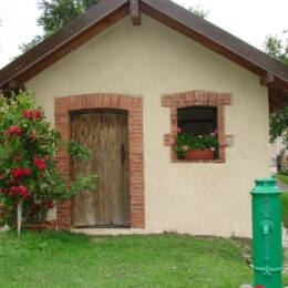 POIZAT1-Z