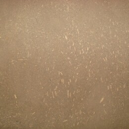 TERRE-GRIS-PICARD-B-Z